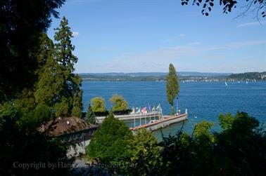 2020 09 03 Insel Mainau,_DSD_7164_b_488px